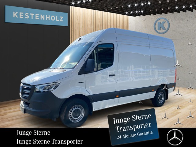 eSprinter 314 Kasten standard
