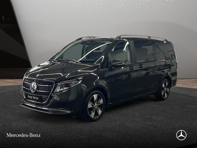 V 250 d Style lang
